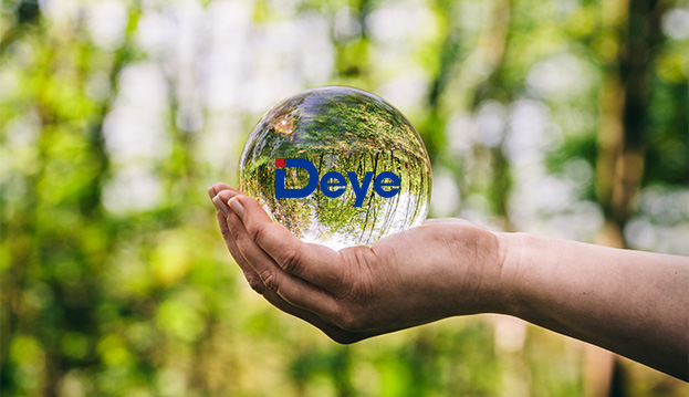 Zhejiang Deye Electrical Appliances Co., Ltd.